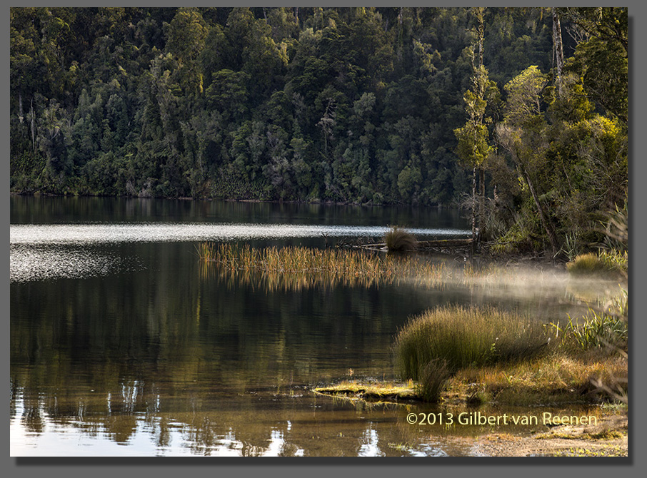 NZ Forests & lakes